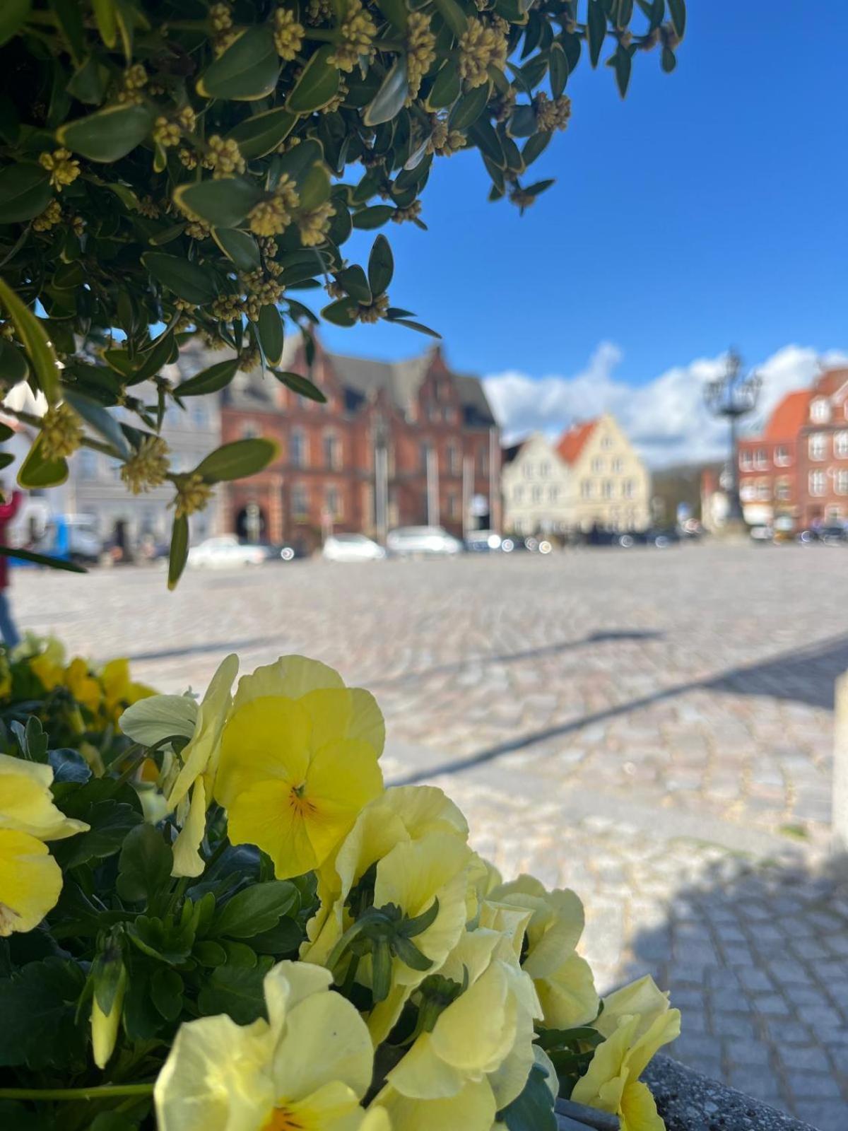 Ferienwohnungen Glückstadt Glückstadt